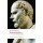 Demosthenes, Selected Speeches (Paperback)