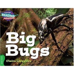 Green Big Bugs