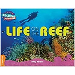 Orange Life on the Reef