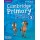 Cambridge Primary Path Level 3 Activity Book with Practice Extra
