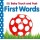 BABY TOUCH AND FEEL : FIRST WORDS