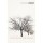 The Collected Poems by Frost, Robert