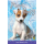 Magic Puppy: Cloud Capers (5+  ani)