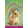 Magic Bunny: Holiday Dreams (5+  ani)